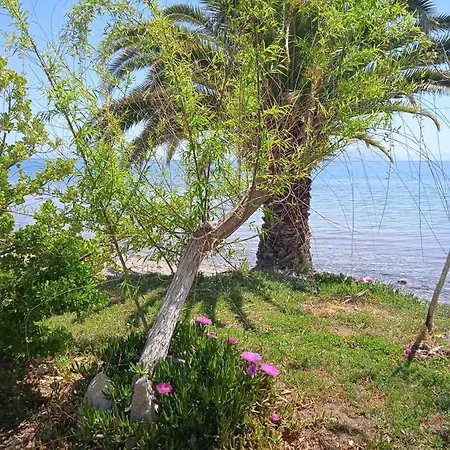 Alonaki Seafront Prázdninový dům
