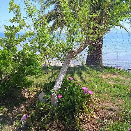 Alonaki Seafront 別荘 Néa Ankhíalos
