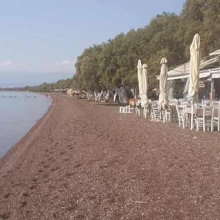 Alonaki Seafront Prázdninový dům *